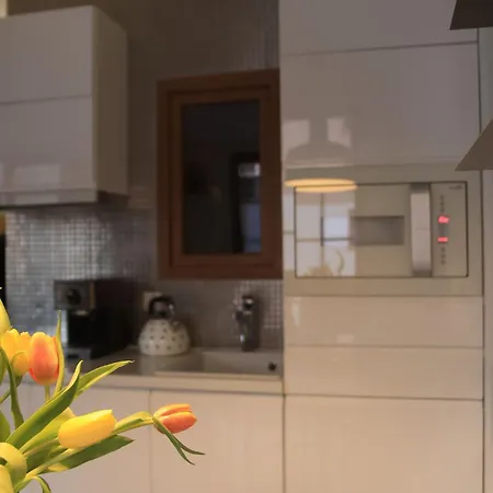 Apartment Przerwa W Gorach *